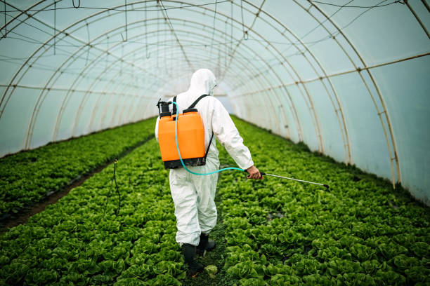 Best Pest Control for Restaurants  in Deming, NM