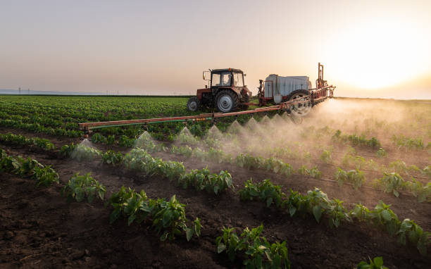 Pest Control for Restaurants in Deming, NM