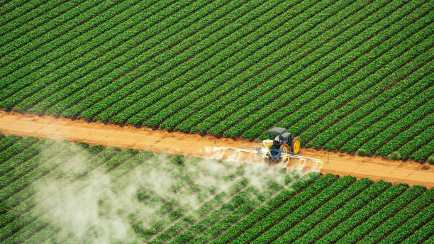 Best Pest Inspection Near Me  in Deming, NM