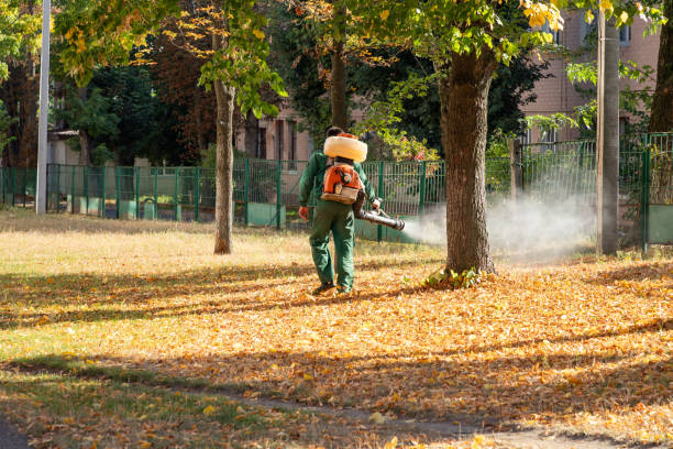Reliable Deming, NM Pest Control Solutions