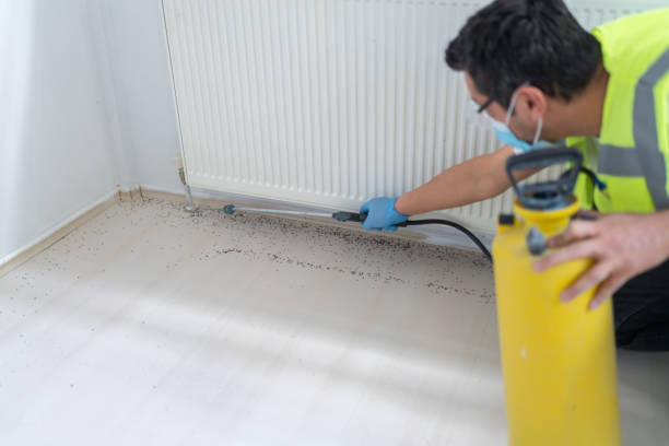 Best Residential Pest Control  in Deming, NM