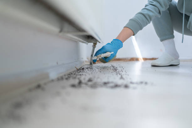 Best Pest Control for Businesses  in Deming, NM